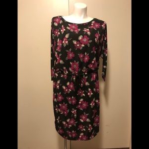RALPH LAUREN NWT long sleeve dress